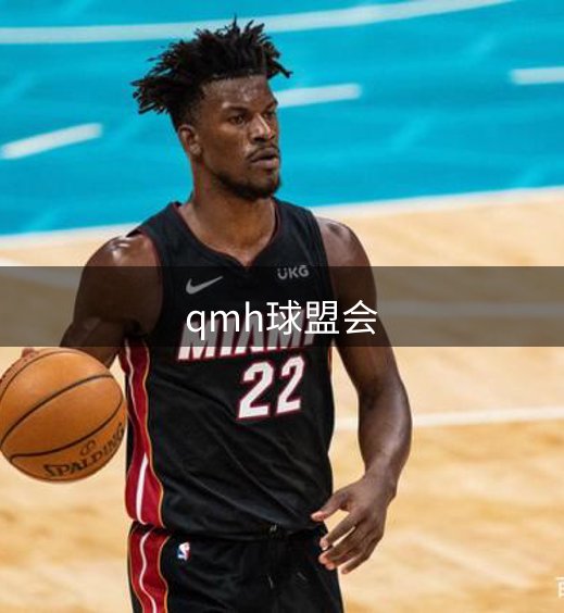 网站介绍
